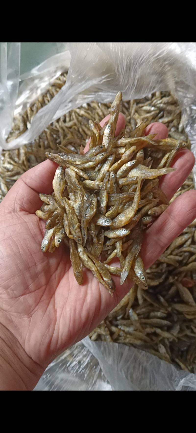 鱼干大沂河小鱼干锅烤鱼鱼仔，可视频看货