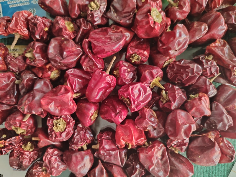 大个头灯笼椒批发，产地销售一手货源，自然烘干辣椒干