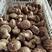 河北鲜香菇白菇花菇基地直供质优价美对接各级批发