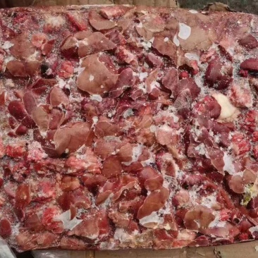 肉鸡肝