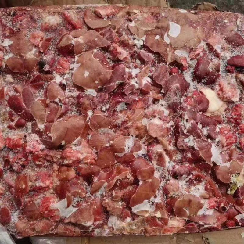肉鸡肝