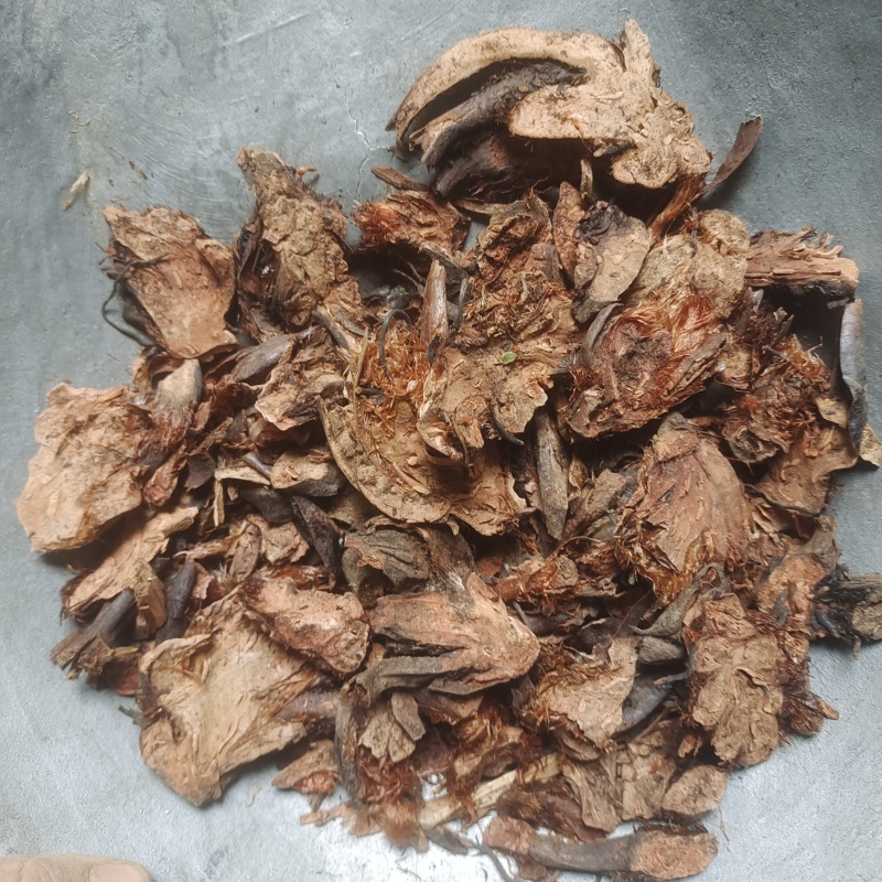 贯众绵马贯众统片今年新货产地四川省紫轩堂药业