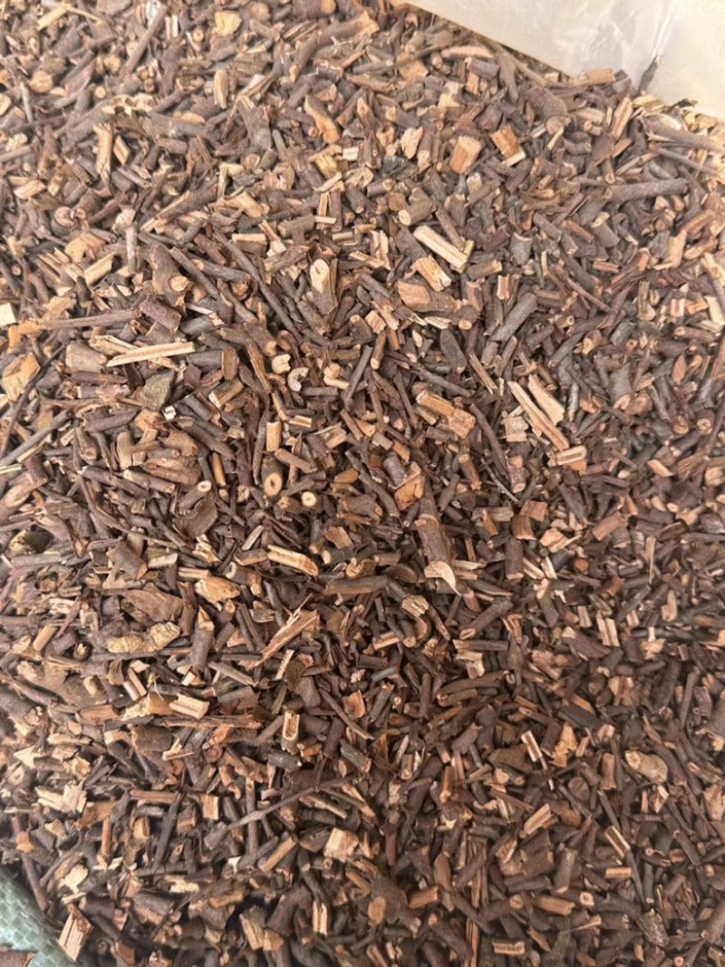 寄生桑寄生广寄生过筛货现货一手货源实拍