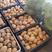 陕西省汉中市城固县土豆已大量上市。个头大，皮毛光，价格平