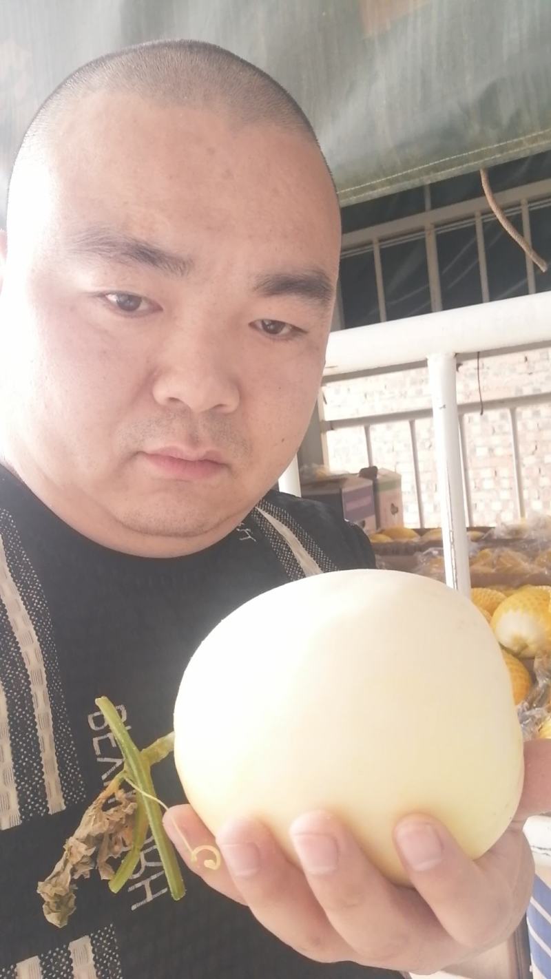 白皮，博洋九