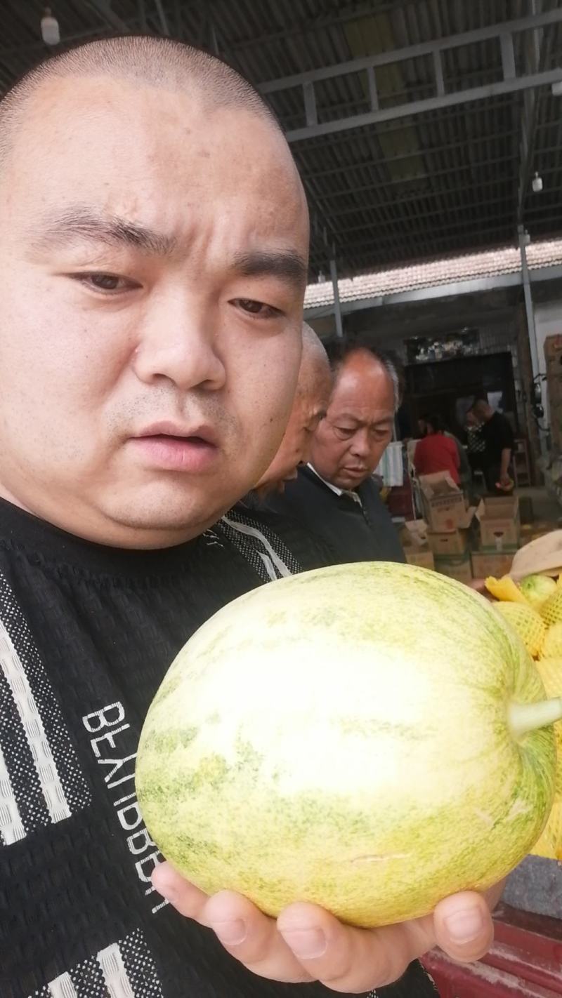 白皮，博洋九
