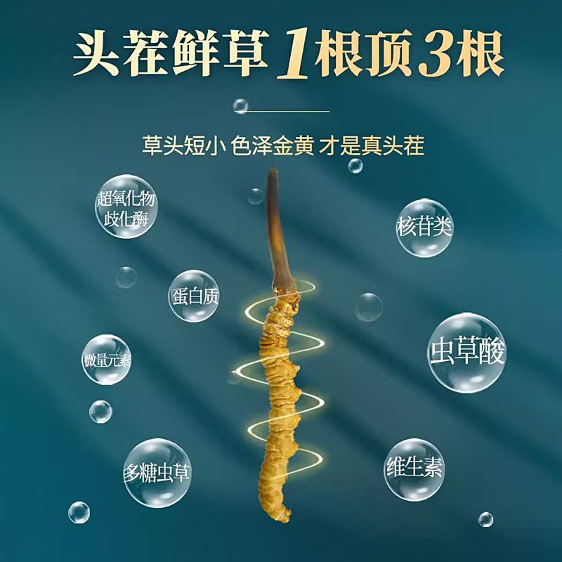 正品虫草产地直发长期供货新鲜采摘优质品质