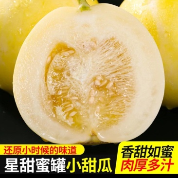 星甜20小蜜罐甜瓜一件代发包邮品质稳定产地直发价格优势