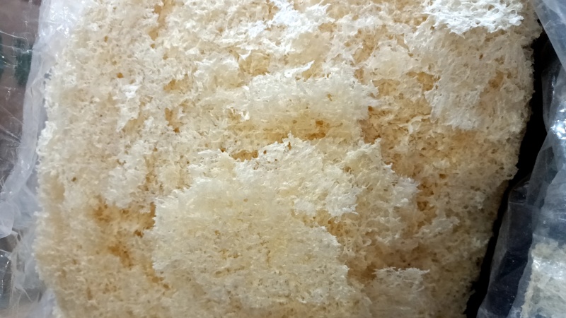 本草银耳免煮免泡金丝草无糖规格齐全可一件代发量大从优
