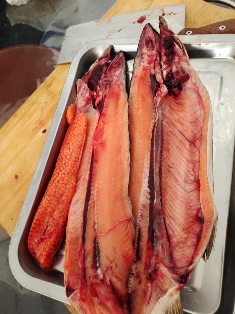整条马哈鱼3~5斤。70%含籽，白磷红肉。