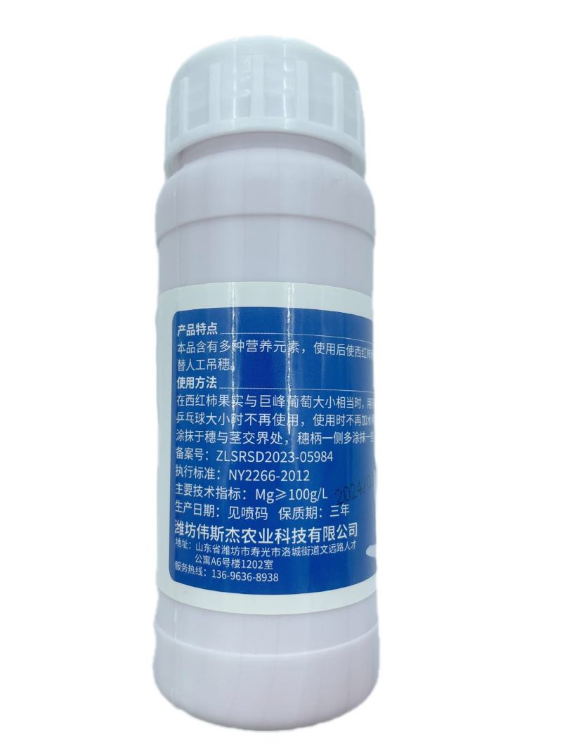 西红柿番茄免吊穗西红柿铁把粗把果把粗壮有韧性膨果快不空果