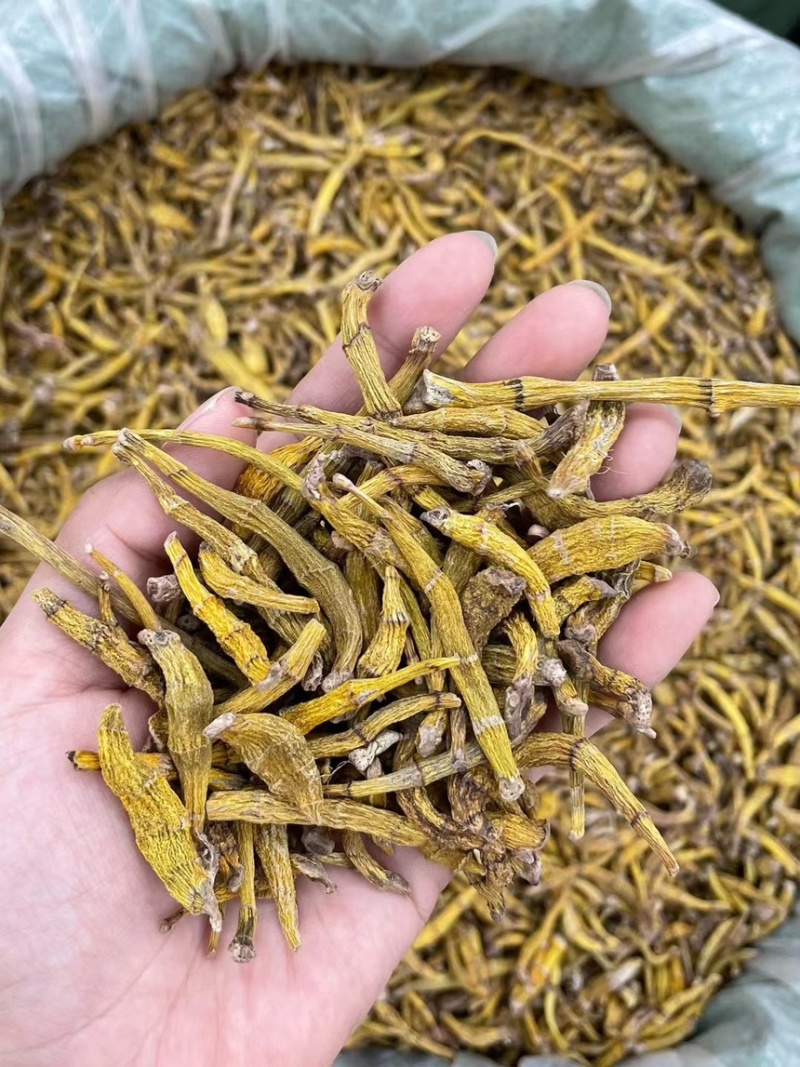产地直达，野生虎牙石斛，支持视频看货