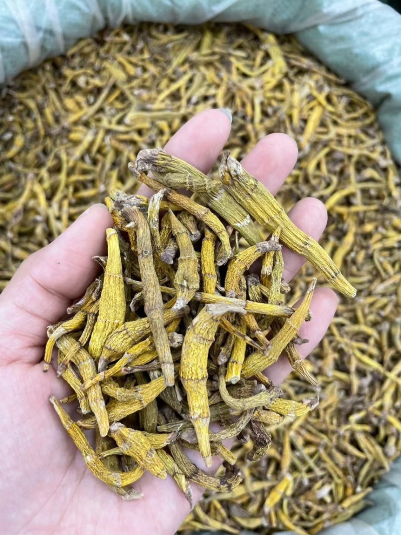 产地直达，野生虎牙石斛，支持视频看货