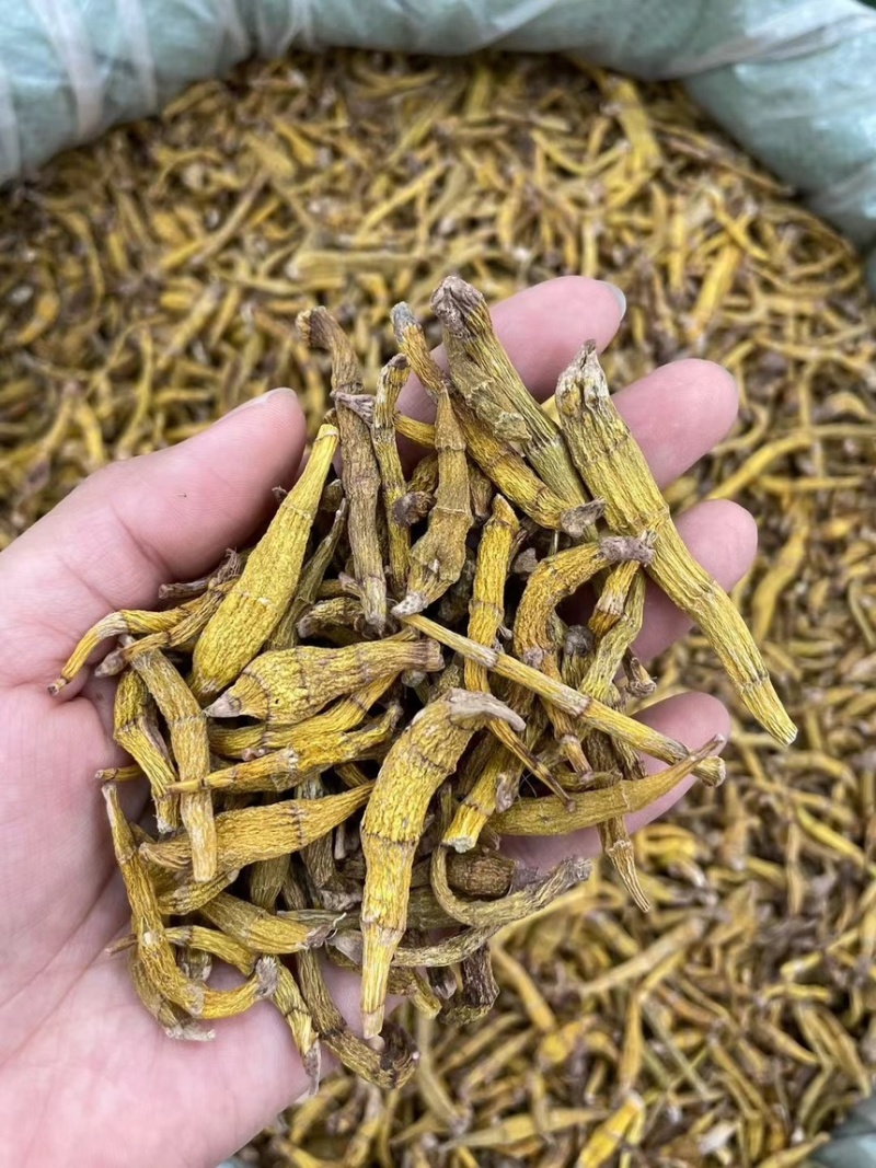 产地直达，野生虎牙石斛，支持视频看货