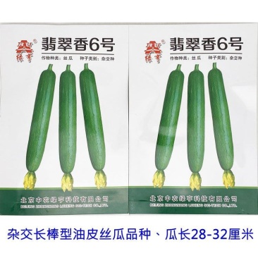 翡翠香6号短棒油皮丝瓜种子油亮香丝瓜水瓜种子10克原装