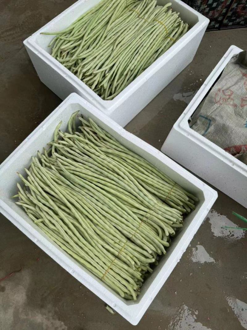 广西白豆角甜豆朱豆新鲜白豆角肉豆白豆角广东白豆