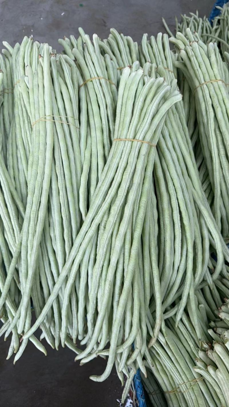 广西白豆角甜豆朱豆新鲜白豆角肉豆白豆角广东白豆