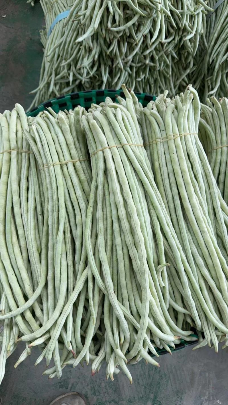 广西白豆角甜豆朱豆新鲜白豆角肉豆白豆角广东白豆