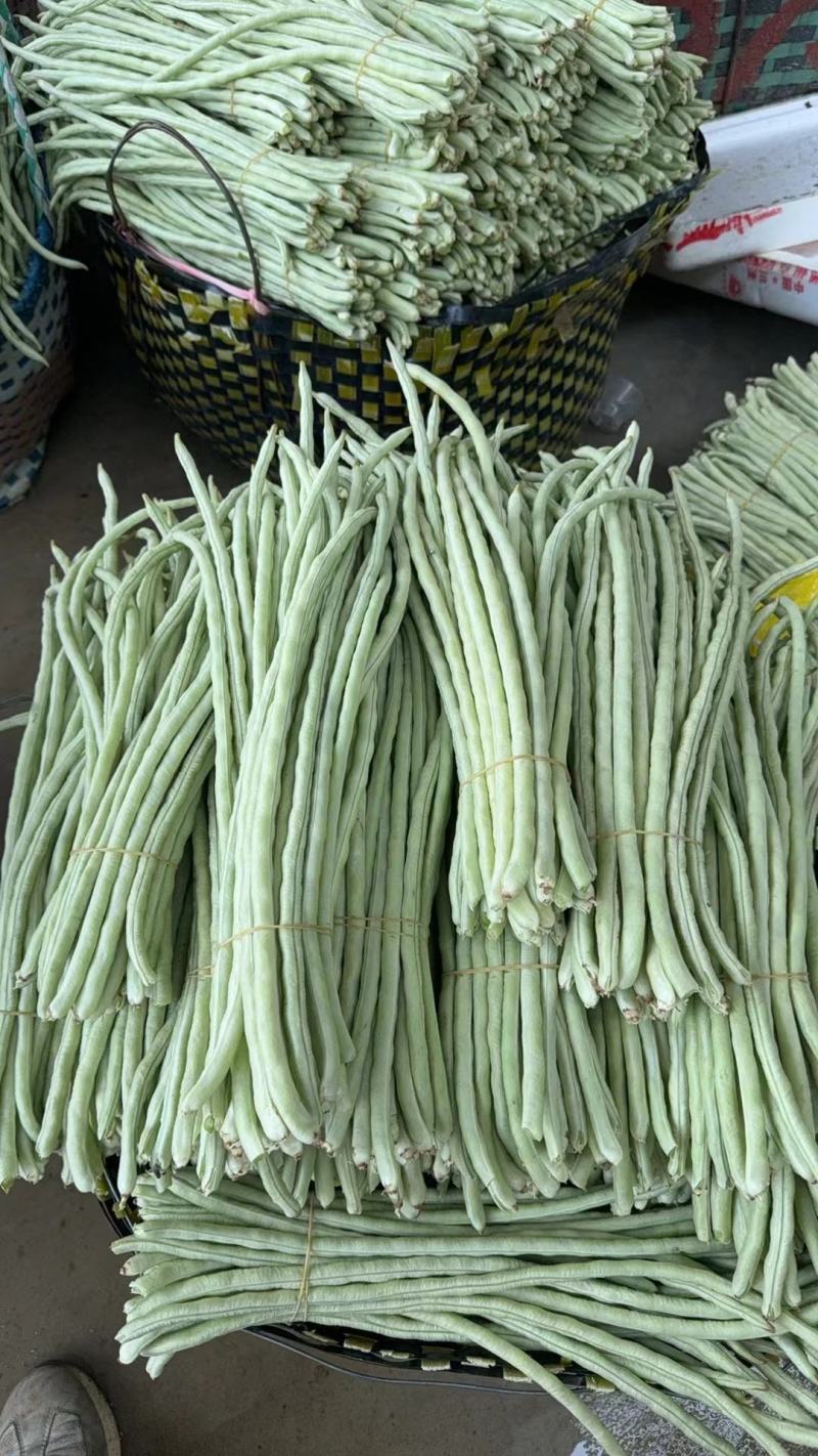 广西白豆角甜豆朱豆新鲜白豆角肉豆白豆角广东白豆