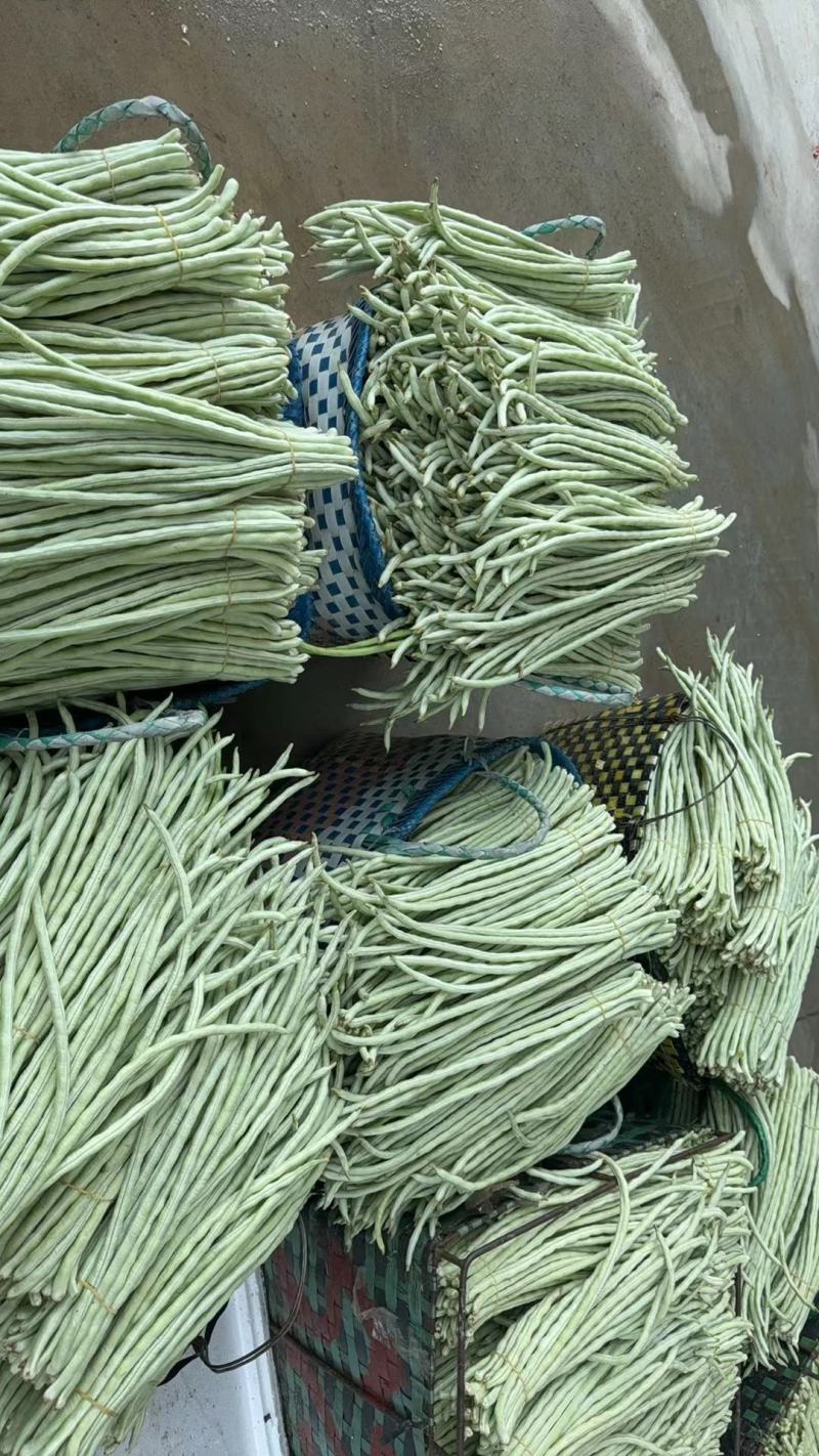 广西白豆角甜豆朱豆新鲜白豆角肉豆白豆角广东白豆