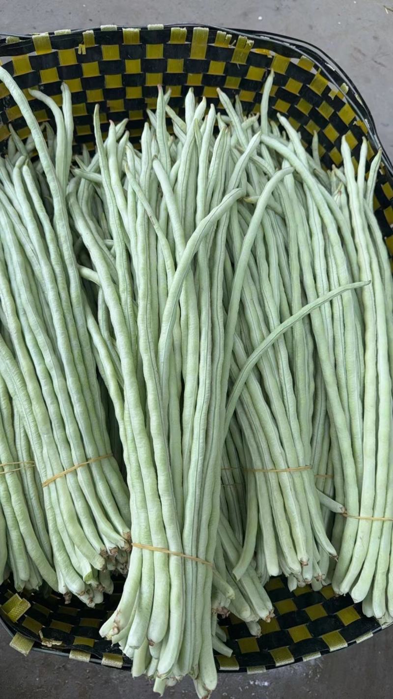 广西白豆角甜豆朱豆新鲜白豆角肉豆白豆角广东白豆