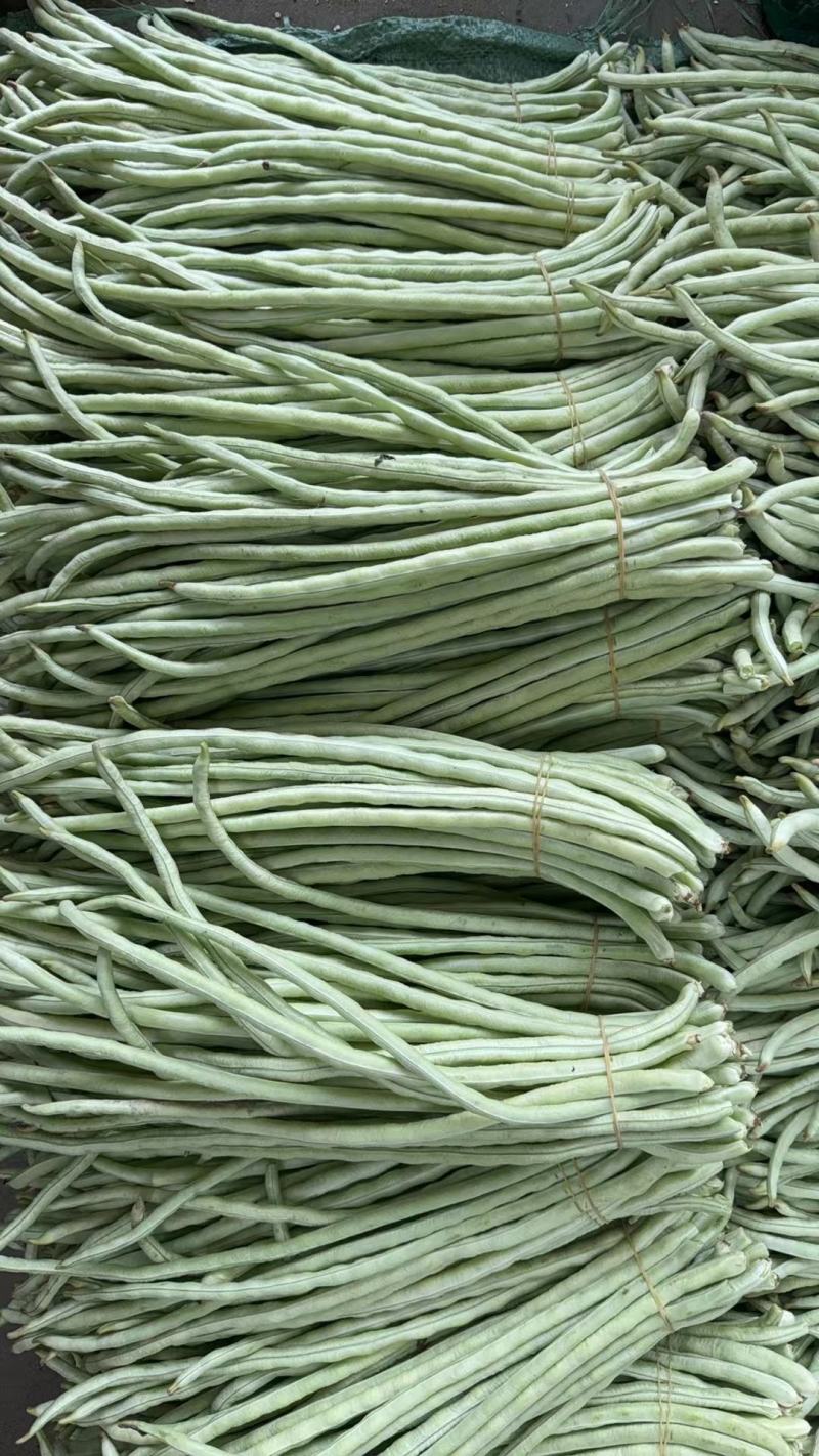 广西白豆角甜豆朱豆新鲜白豆角肉豆白豆角广东白豆