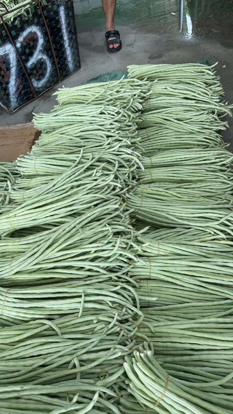 广西白豆角甜豆朱豆新鲜白豆角肉豆白豆角广东白豆