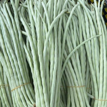 广西白豆角甜豆朱豆新鲜白豆角肉豆白豆角广东白豆