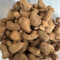 炮姜实拍炮老姜实拍现货云南货真价实只卖正品