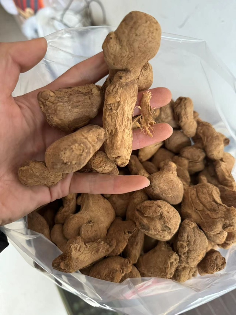 炮姜实拍炮老姜实拍现货云南货真价实只卖正品