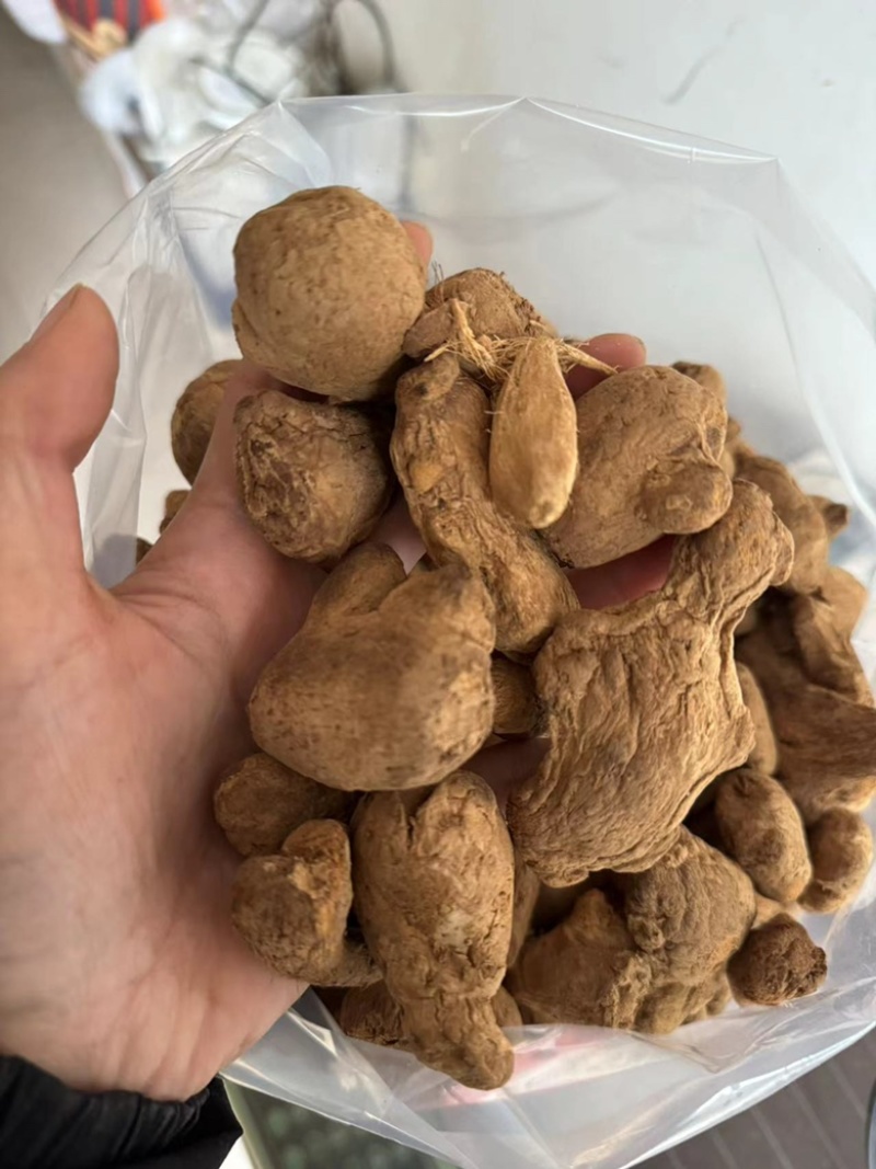 炮姜实拍炮老姜实拍现货云南货真价实只卖正品