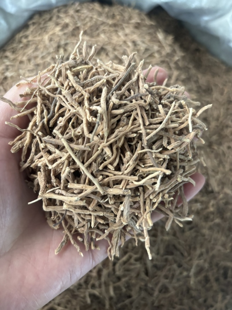 野生远志秦岭中药材精选无硫陕西山西远志肉远志