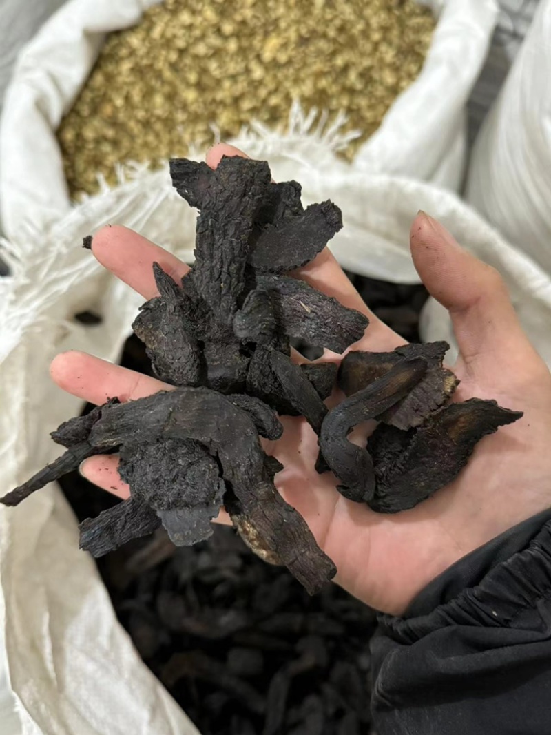 肉苁蓉肉纵容大云大芸软大云硬大芸实拍