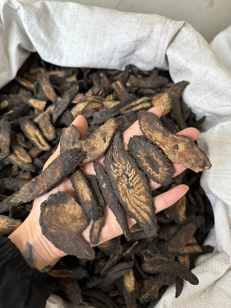 肉苁蓉肉纵容大云大芸软大云硬大芸实拍