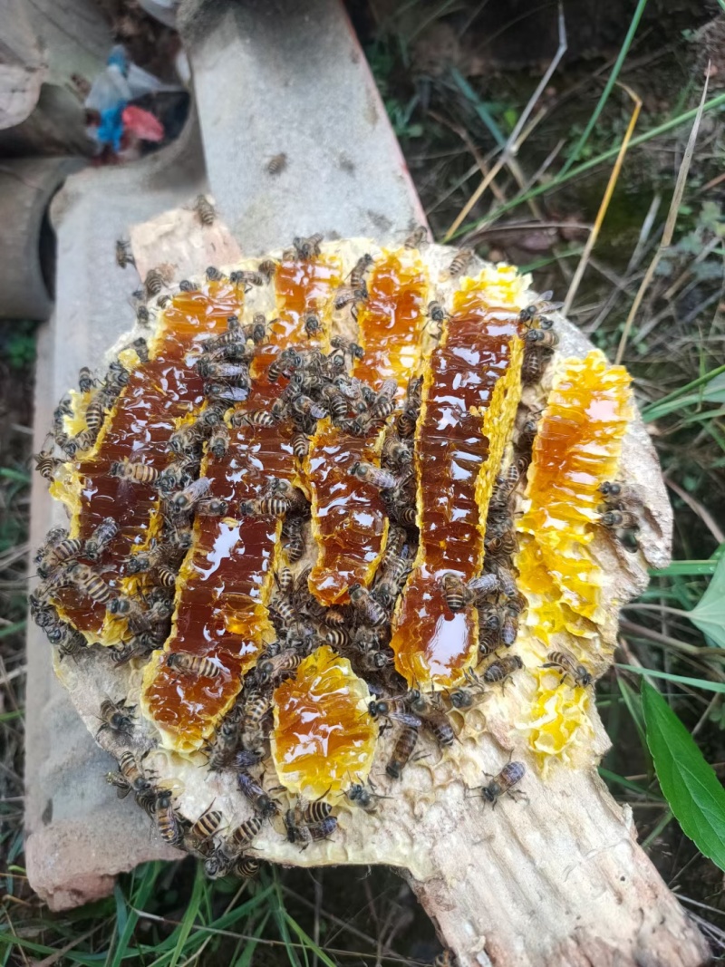 百花蜂蜜