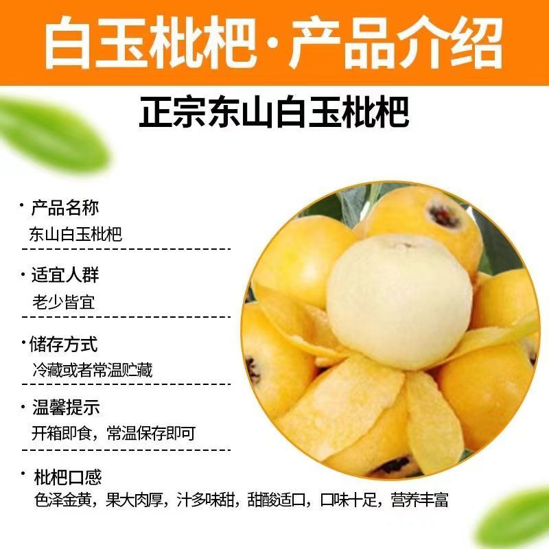 苏州东山白玉枇杷果园直销