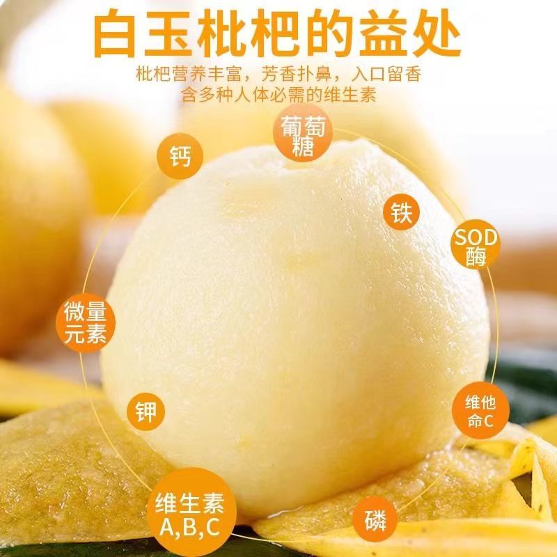 苏州东山白玉枇杷果园直销