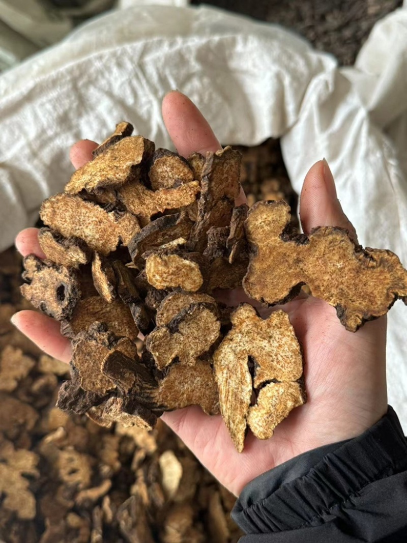 炒苍术气味浓实拍正品一份价格一分货朱砂点苍术现货