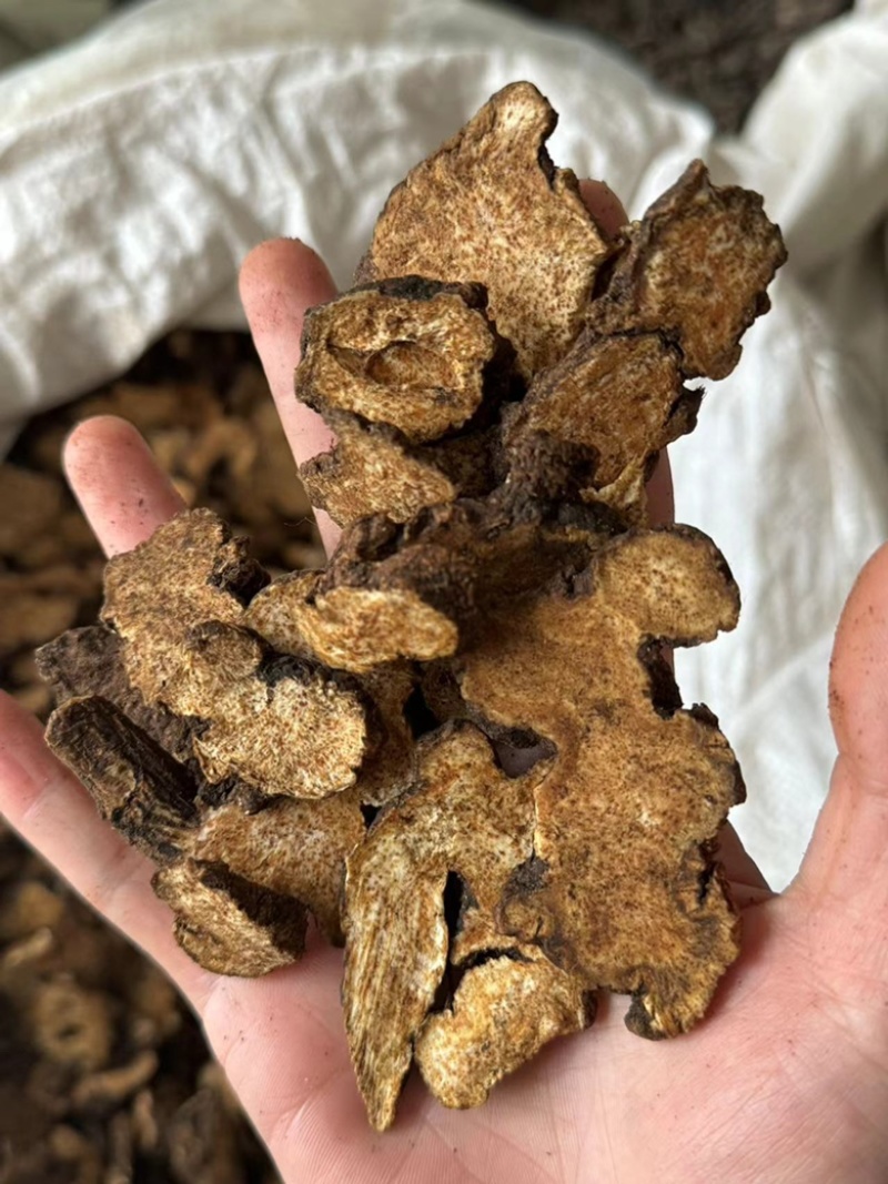 炒苍术气味浓实拍正品一份价格一分货朱砂点苍术现货