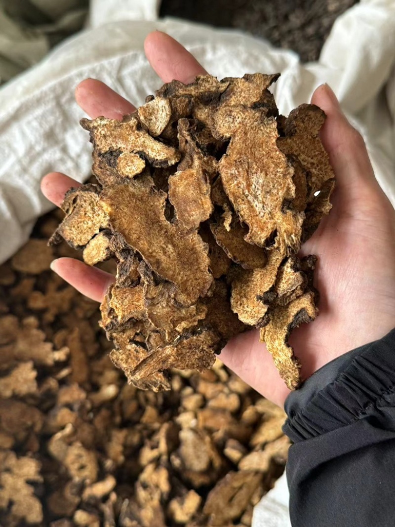 炒苍术气味浓实拍正品一份价格一分货朱砂点苍术现货