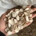 白勺白勺片实拍货真价实一直在涨钱低价冲量中