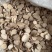 白勺白勺片实拍货真价实一直在涨钱低价冲量中