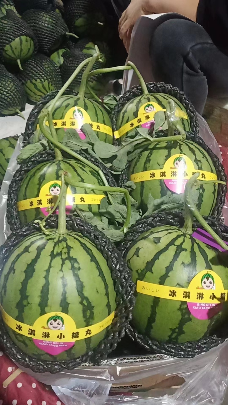 蒲城西瓜冰淇淋小糖丸西瓜产地直发货源充足欢迎致电