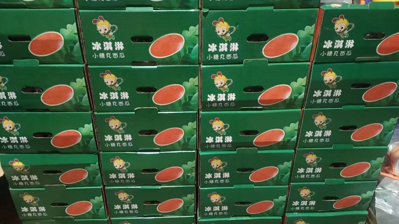 蒲城西瓜冰淇淋小糖丸西瓜产地直发货源充足欢迎致电