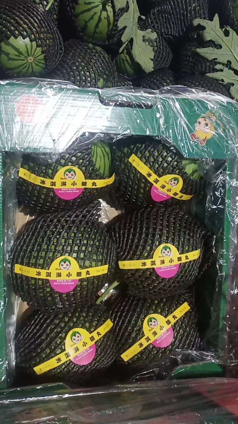 蒲城西瓜冰淇淋小糖丸西瓜产地直发货源充足欢迎致电