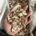 白勺白勺片实拍货真价实一直在涨钱低价冲量中