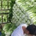 白菜生产大队