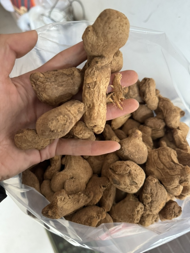 炮姜实物拍摄味道浓实物拍摄炮老姜云南非次品