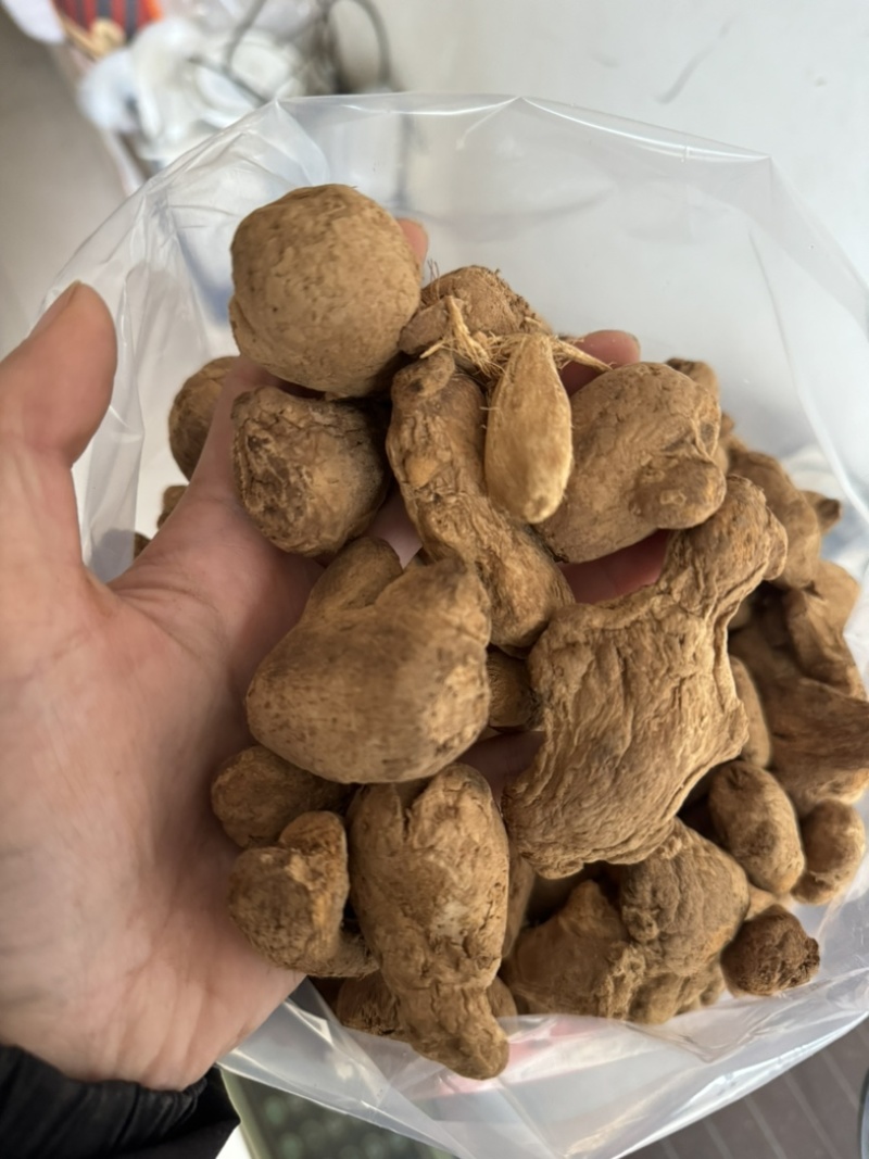 炮姜实物拍摄味道浓实物拍摄炮老姜云南非次品