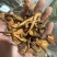 凌霄花保庆药业批发凌霄花干货凌霄花实拍